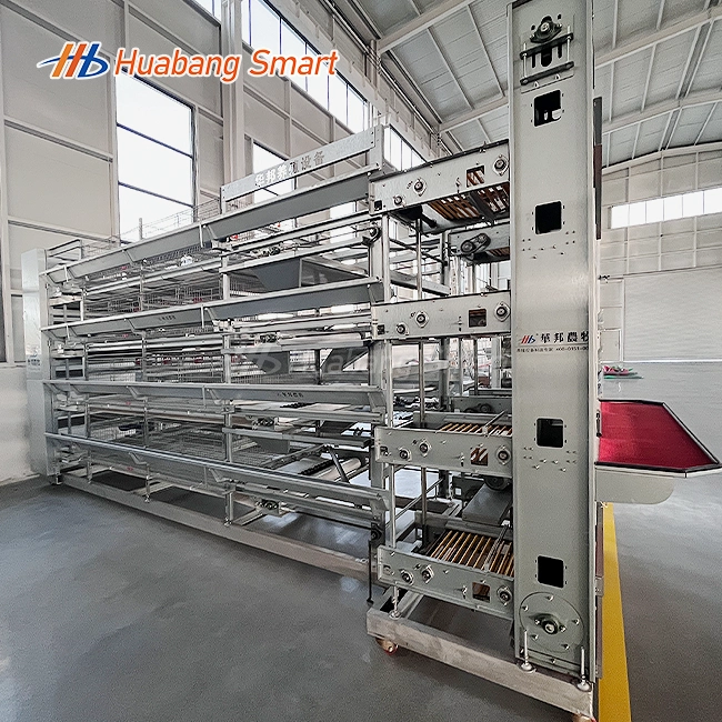 Chicken Cages Egg Layer Poultry Farms